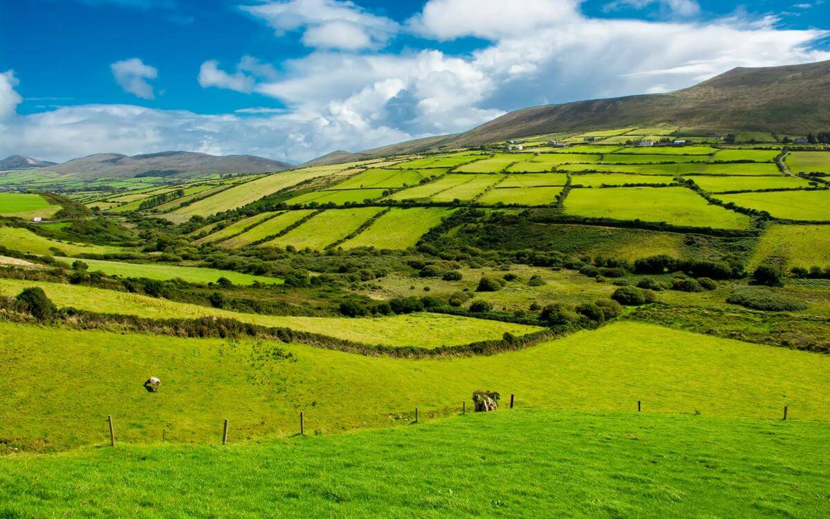 A costly harvest: Case focus on the costs risks to defendants in multi-defendant claims