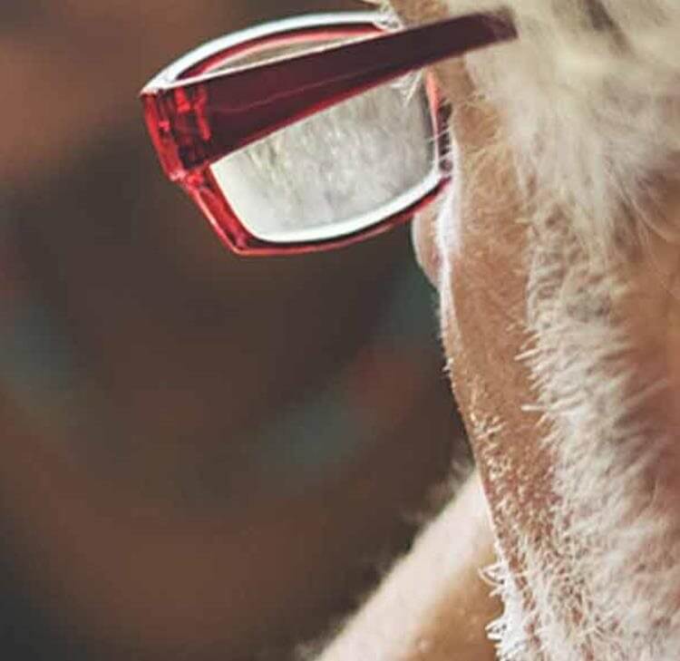 Care Focus: Critical incident response and criminal investigations