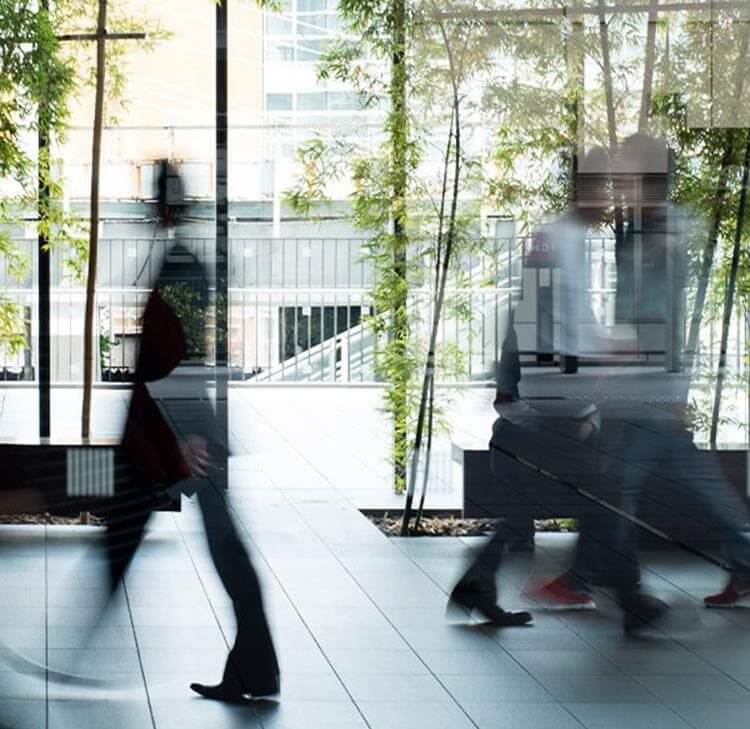 What does the election mean for Net Zero and the green ambitions of public bodies?