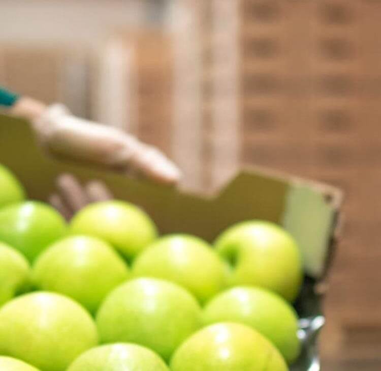 US tariffs: Implications for the food and drink sector in UK and Ireland and practical steps for businesses