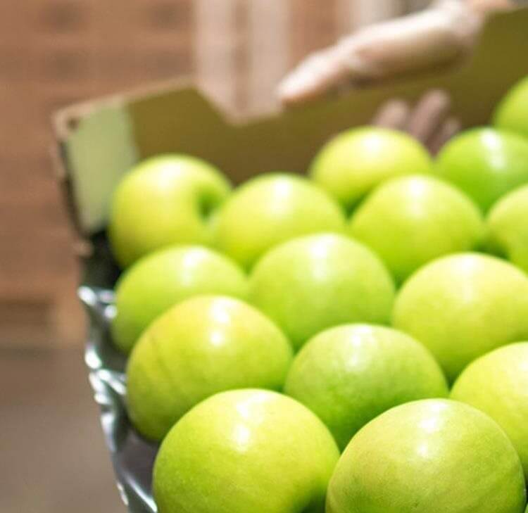 Leading the conversation on DEI in the food & drink industry: celebrating the contribution of women