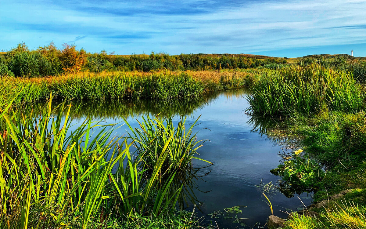 Supreme Court judgment on environmental protection of ‘Ramsar sites’: Legal reaction