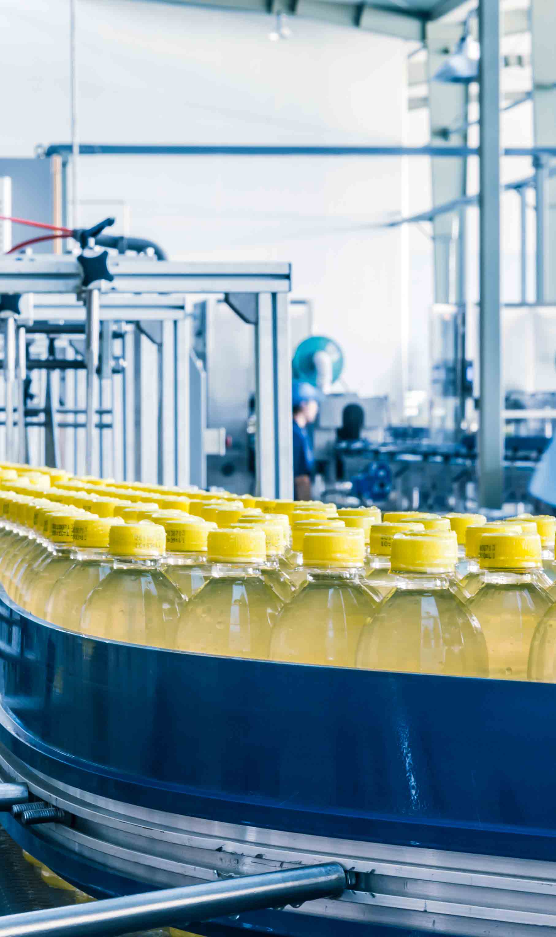 Protecting your brand