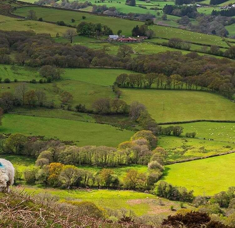 Good news for landowners with appeal allowed under the Electronic Communications Code at the Upper Tribunal