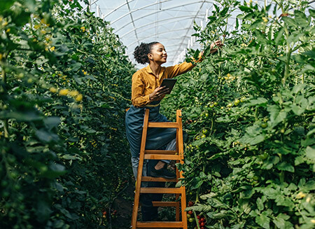 Food for Thought: Food and drink regulatory update: Summer 2025