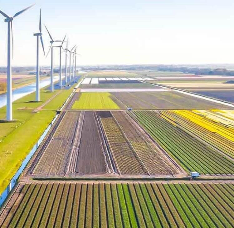 ESG and sustainability report: Rethinking communication and credibility