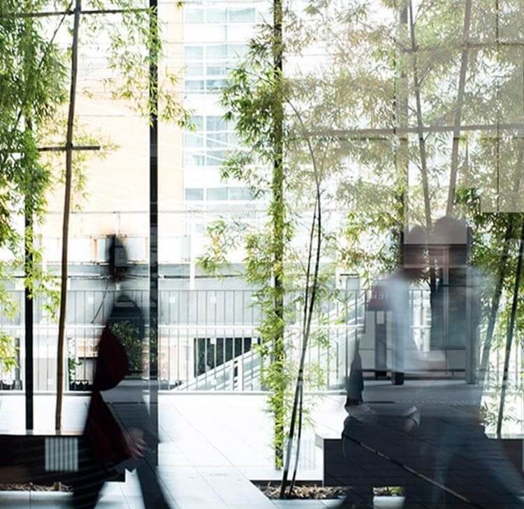 Organisational approaches to ESG and sustainability matters