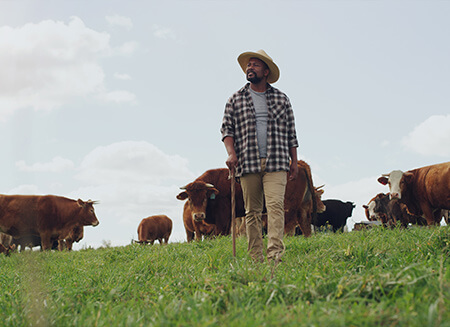 Brexit reset deal: Implications for UK-EU food and drink trade