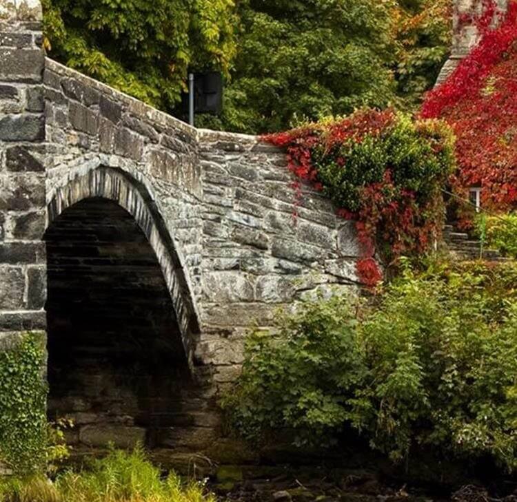 Biodiversity Net Gain: what have we learnt in the first few months?