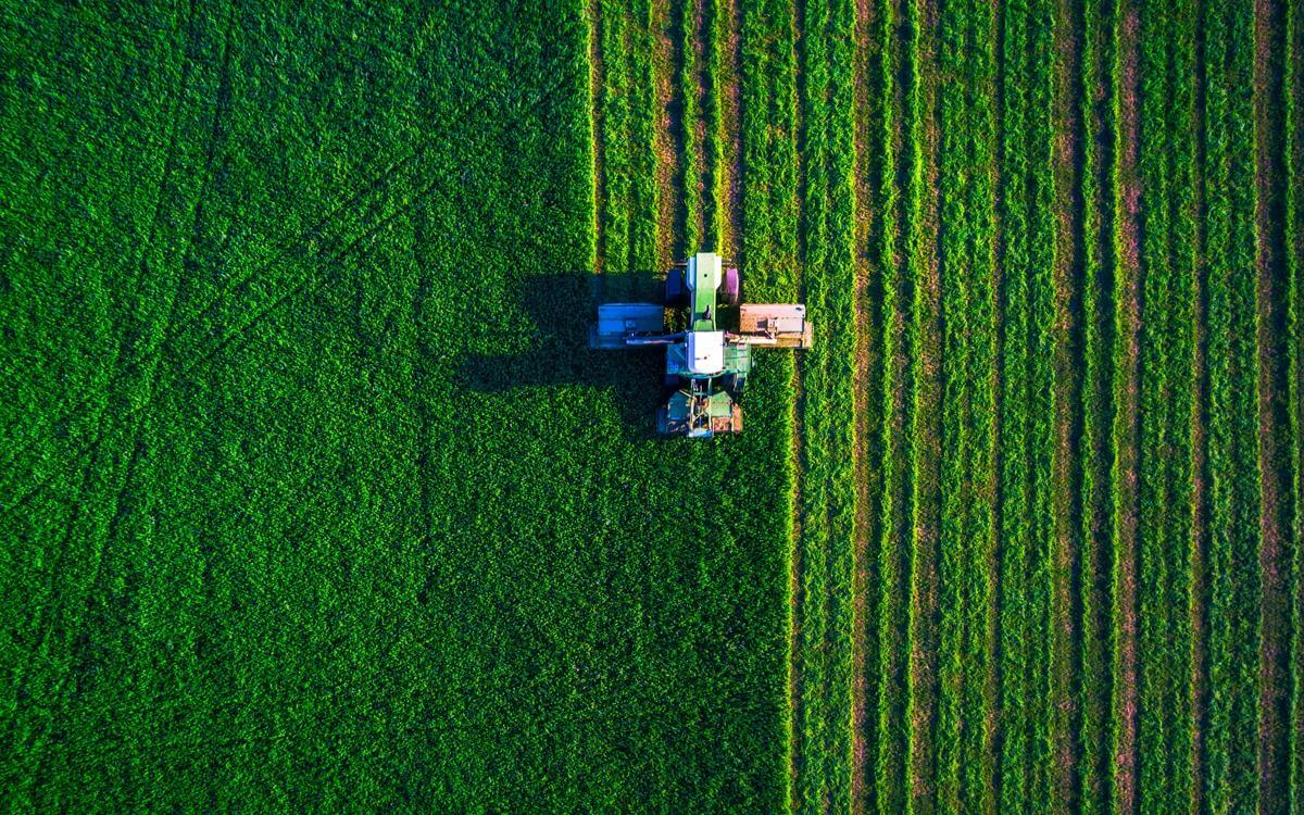 Brexit reset: UK-EU SPS agreement breakthrough: September 2025 update